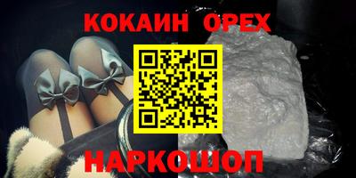 спиды Гай
