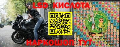 спиды Гай