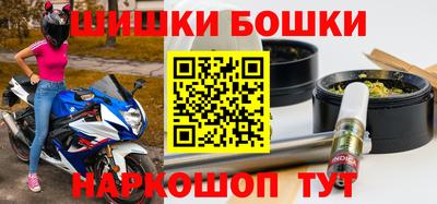 спиды Гай