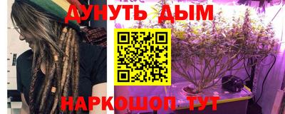 спиды Гай