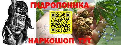 спиды Гай