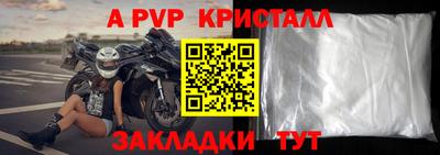 спиды Гай