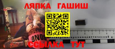 спиды Гай