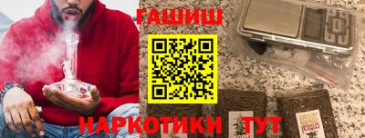 спиды Гай