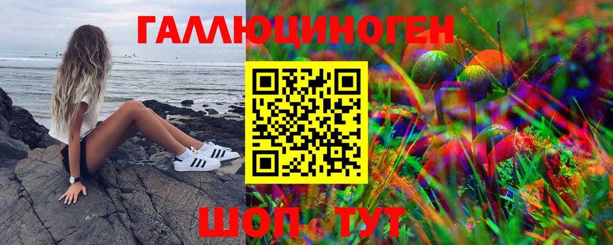 Псилоцибиновые грибы GOLDEN TEACHER  Вход с VPN  Мирный 