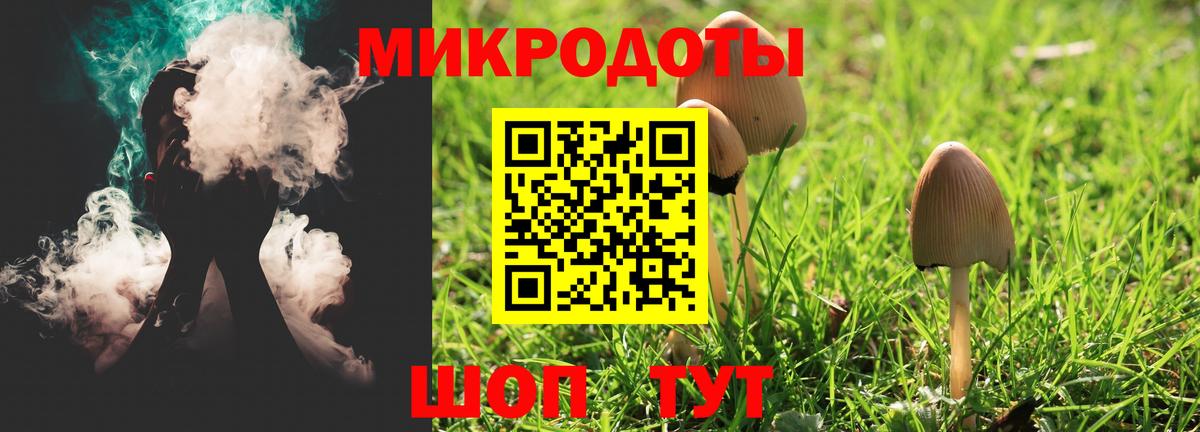 Галлюциногенные грибы Cubensis Мирный